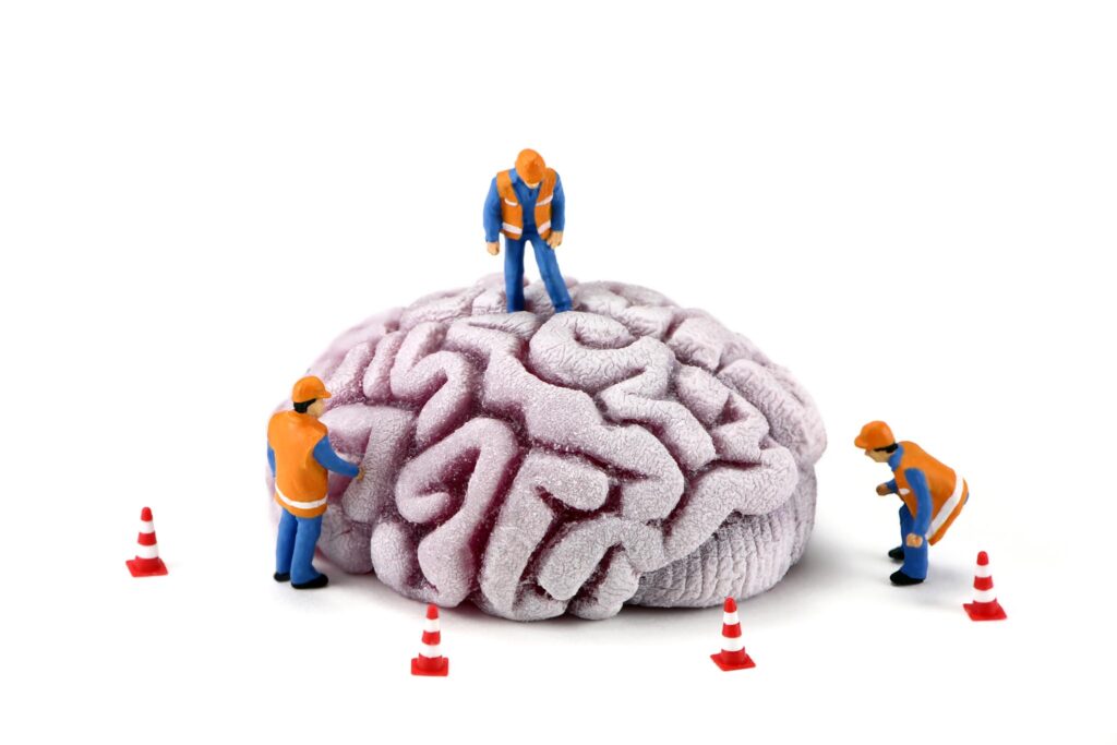 Concept image of miniature construction workers inspecting a brain. There are small caution cones around the brain. White background.