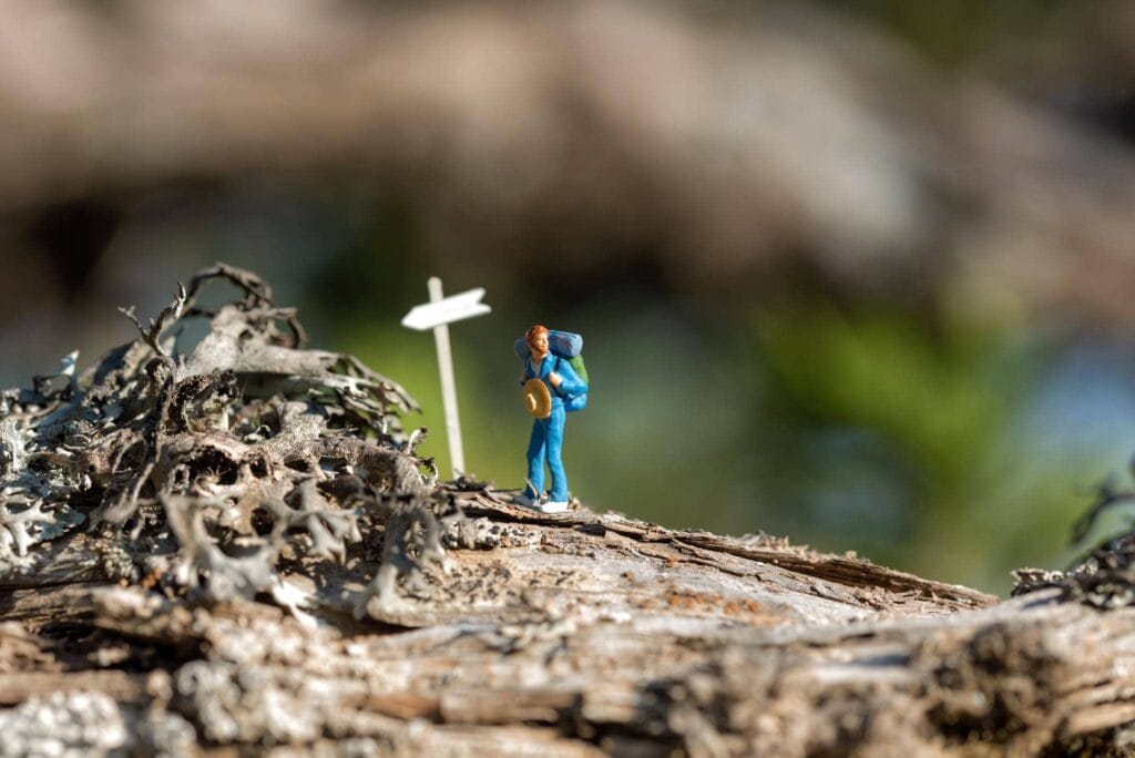 Bouw Google Ads op zoekintentie