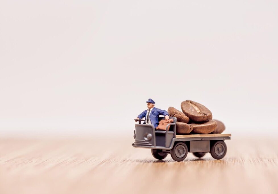 de nieuwe toegankelijkheidswet