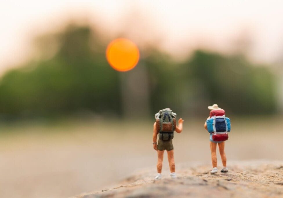 Stuur op inzichten, niet op dashboards