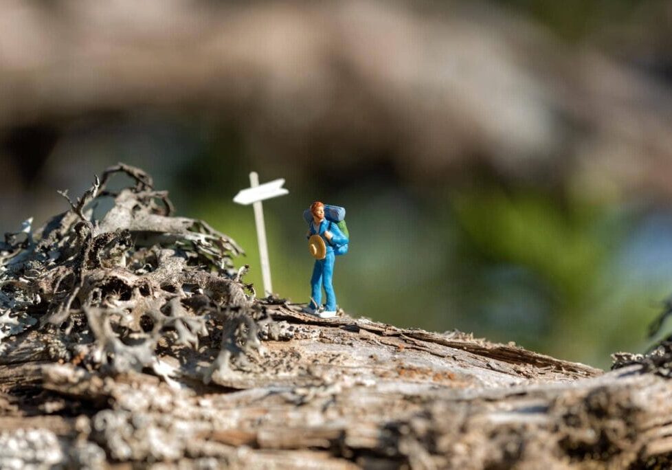 Bouw Google Ads op zoekintentie